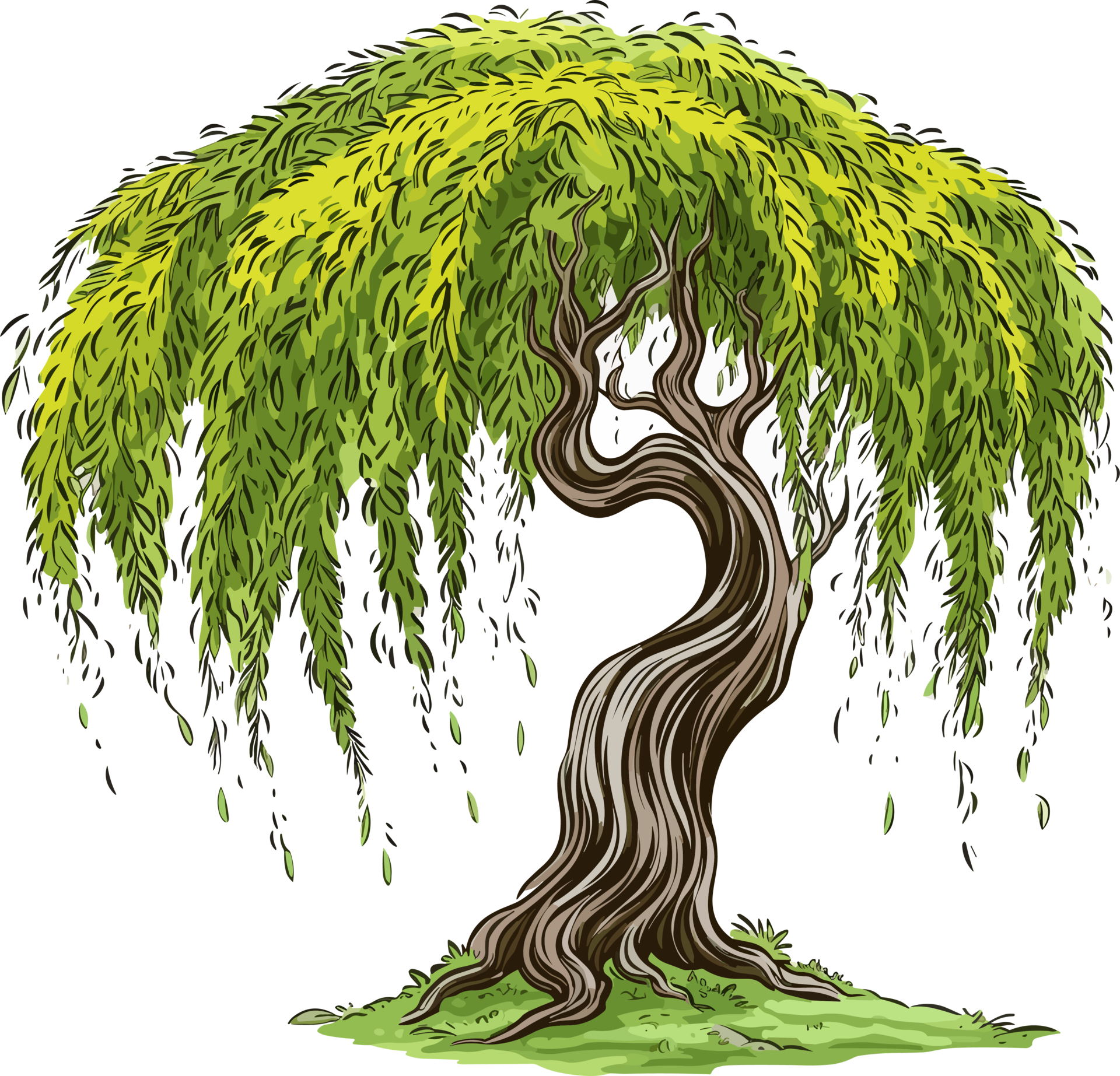 Unleashing The Power Of Willow.Trie - 9m1sbrt