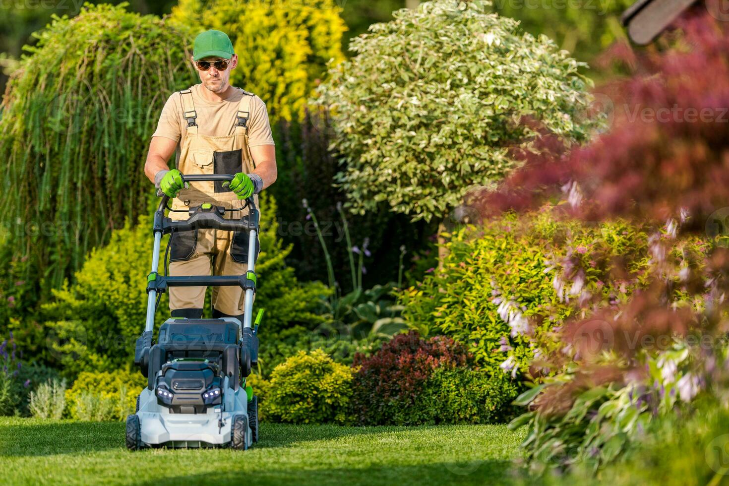 Caucasian Men Mowing Grass in His Garden photo