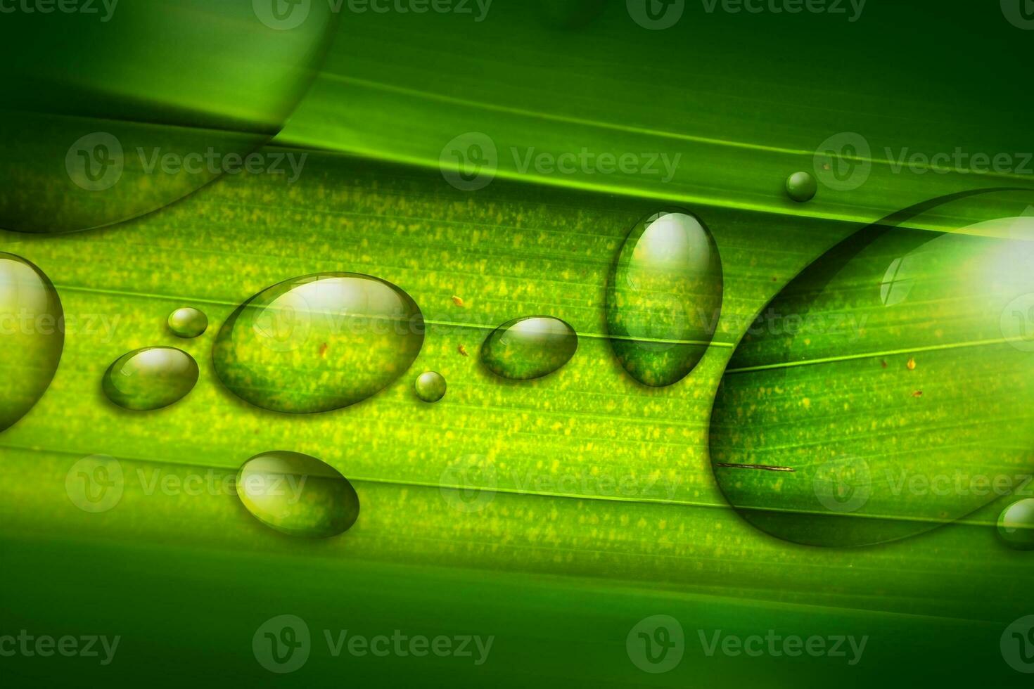 Water Drops Background photo