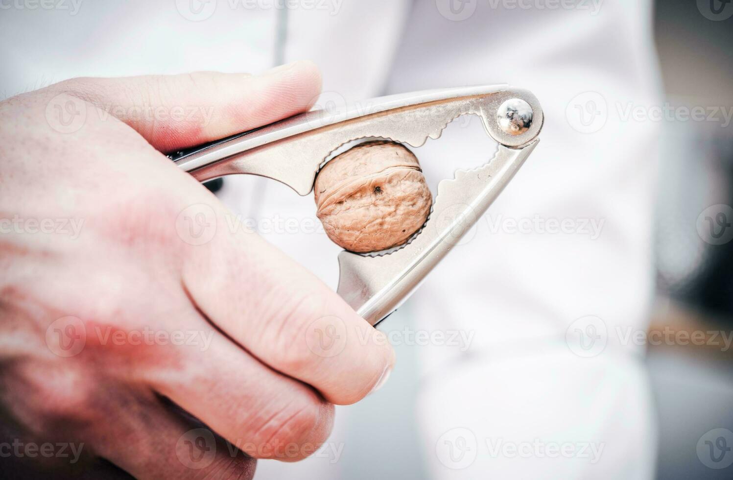 Walnut Inside Nut Cracker. photo
