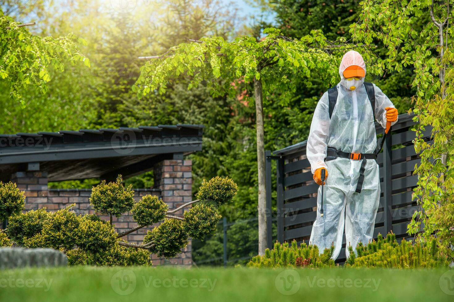 Gardener Working in Protection Suite Spraying Plants photo