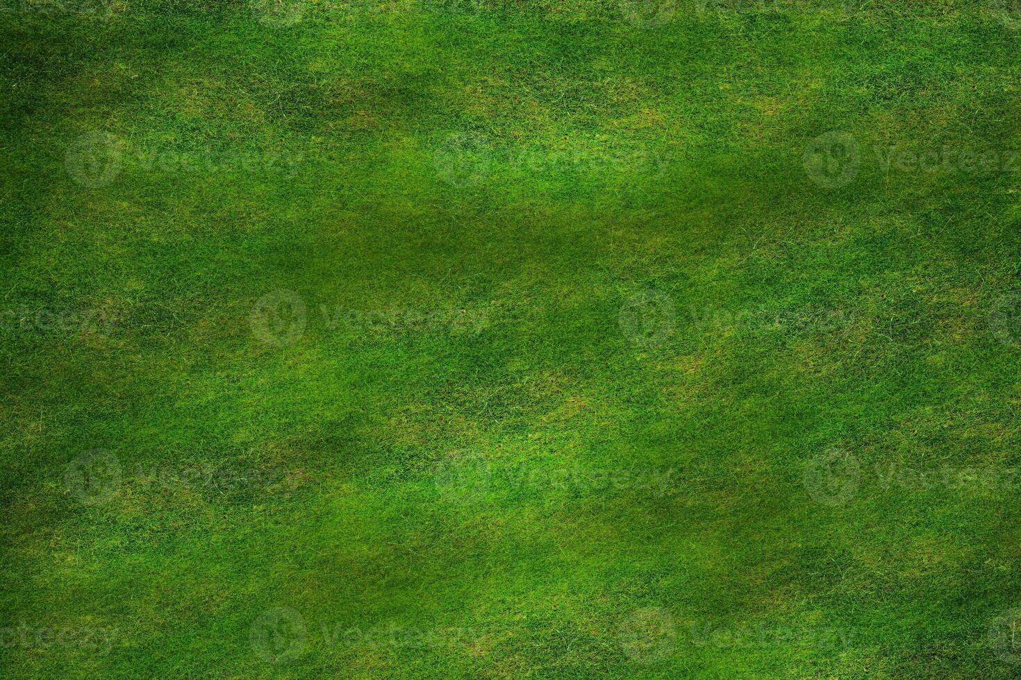 High Resolution Grass photo