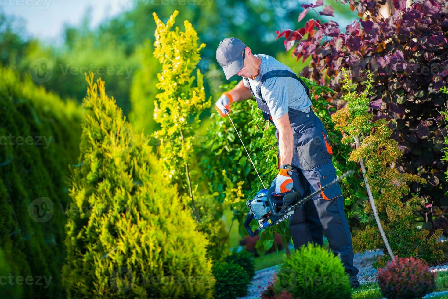 Firing Up Hedge Trimmer photo