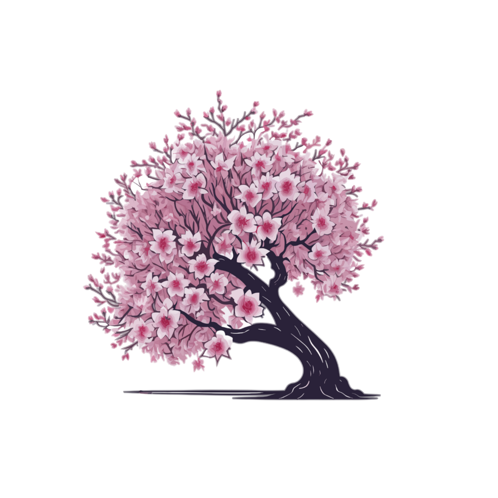 cherry blossom tree clipart on transparent background, cherry blossom ...