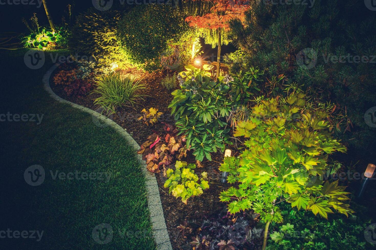 Illuminated Backyard Garden photo