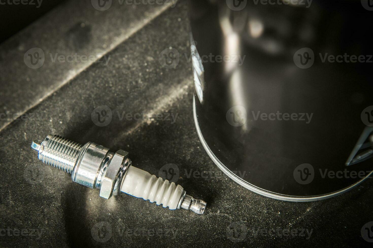 Spark Plug and Oil Filter photo