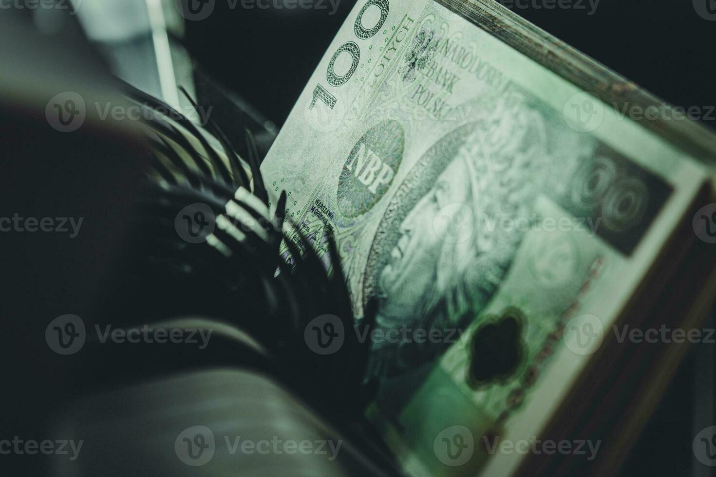 Polish Zloty Bills Inside Money Counter photo