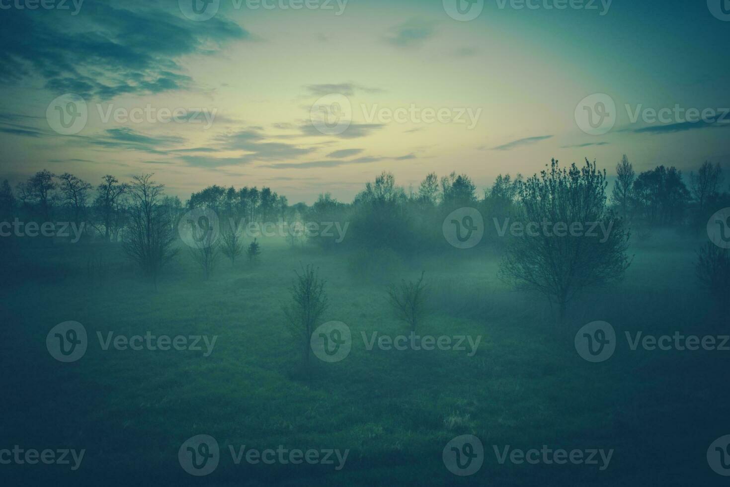 Foggy Evening Scenery photo