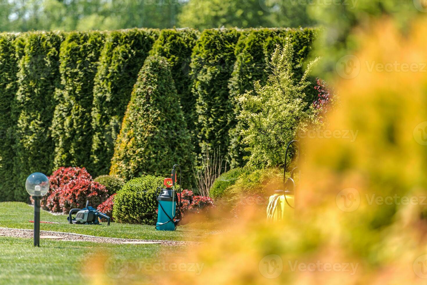 View Of Residential Backyard Landscape With Groundkeeping Equipment. photo