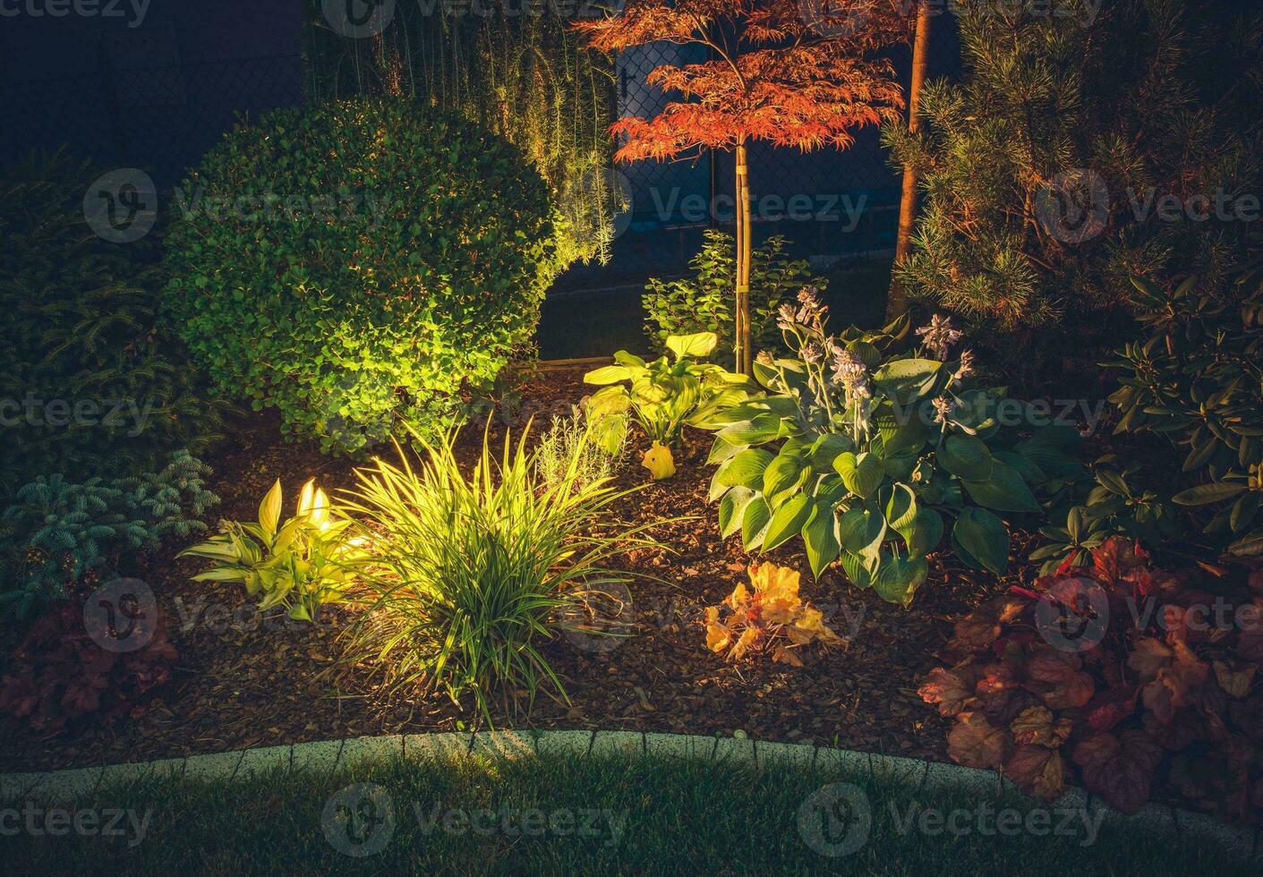 Garden Ambient Lighting photo