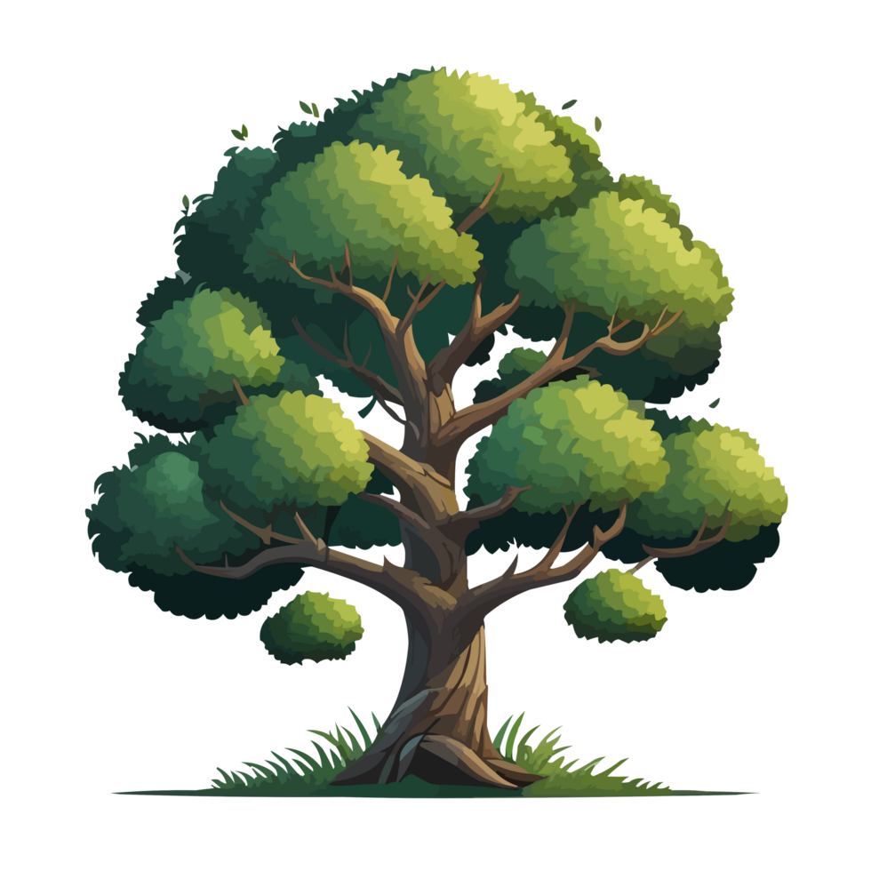 Tree and nature png