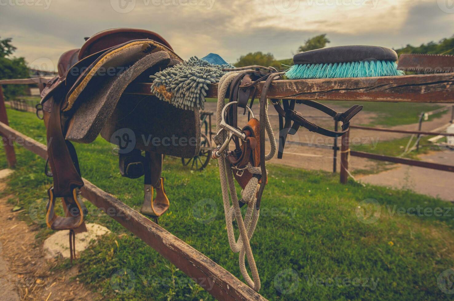 Equestrian Facility Horse Accessories photo