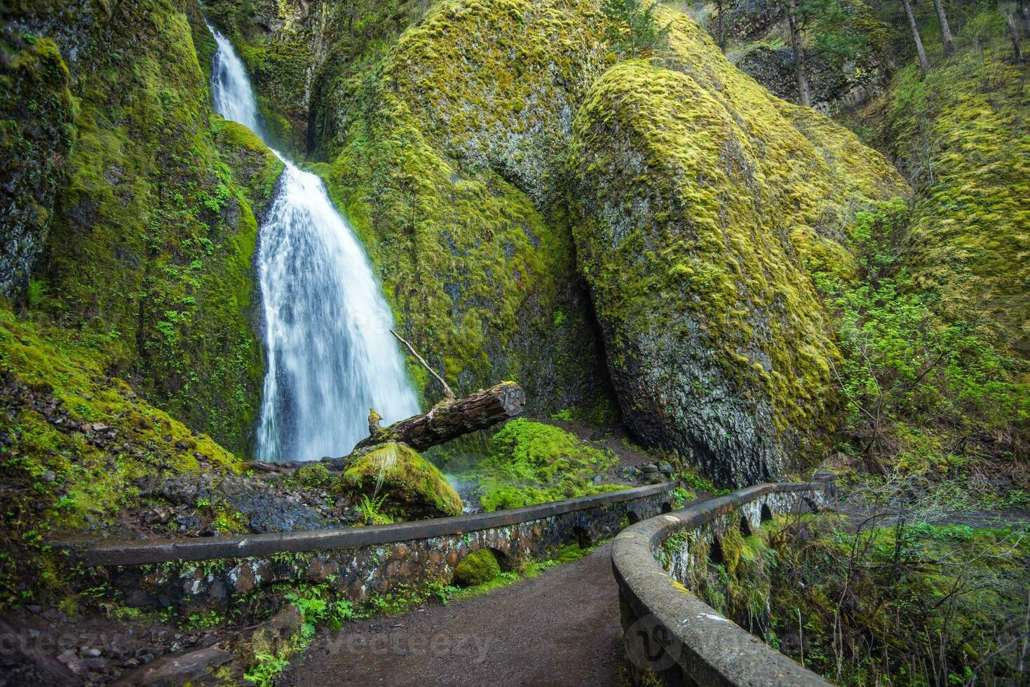 Scenic Oregon Waterfall photo