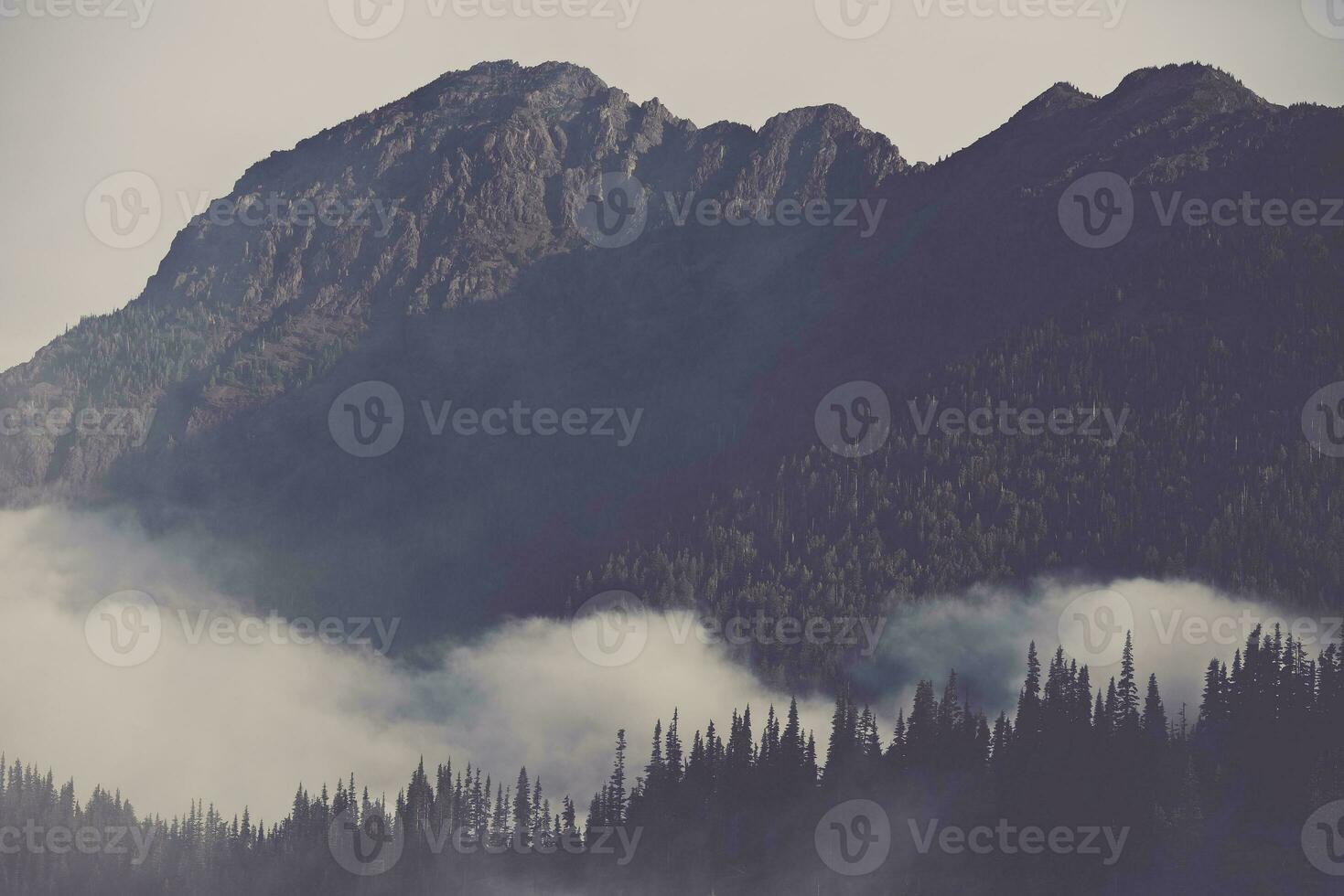 Mountains Covered By Clouds photo