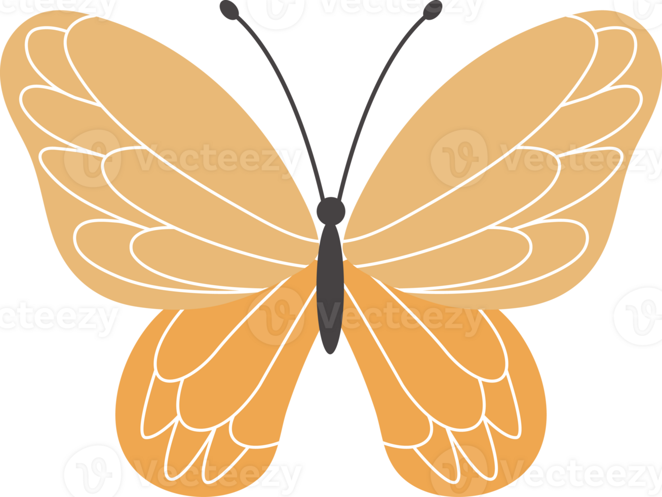 flying butterfly illustration png