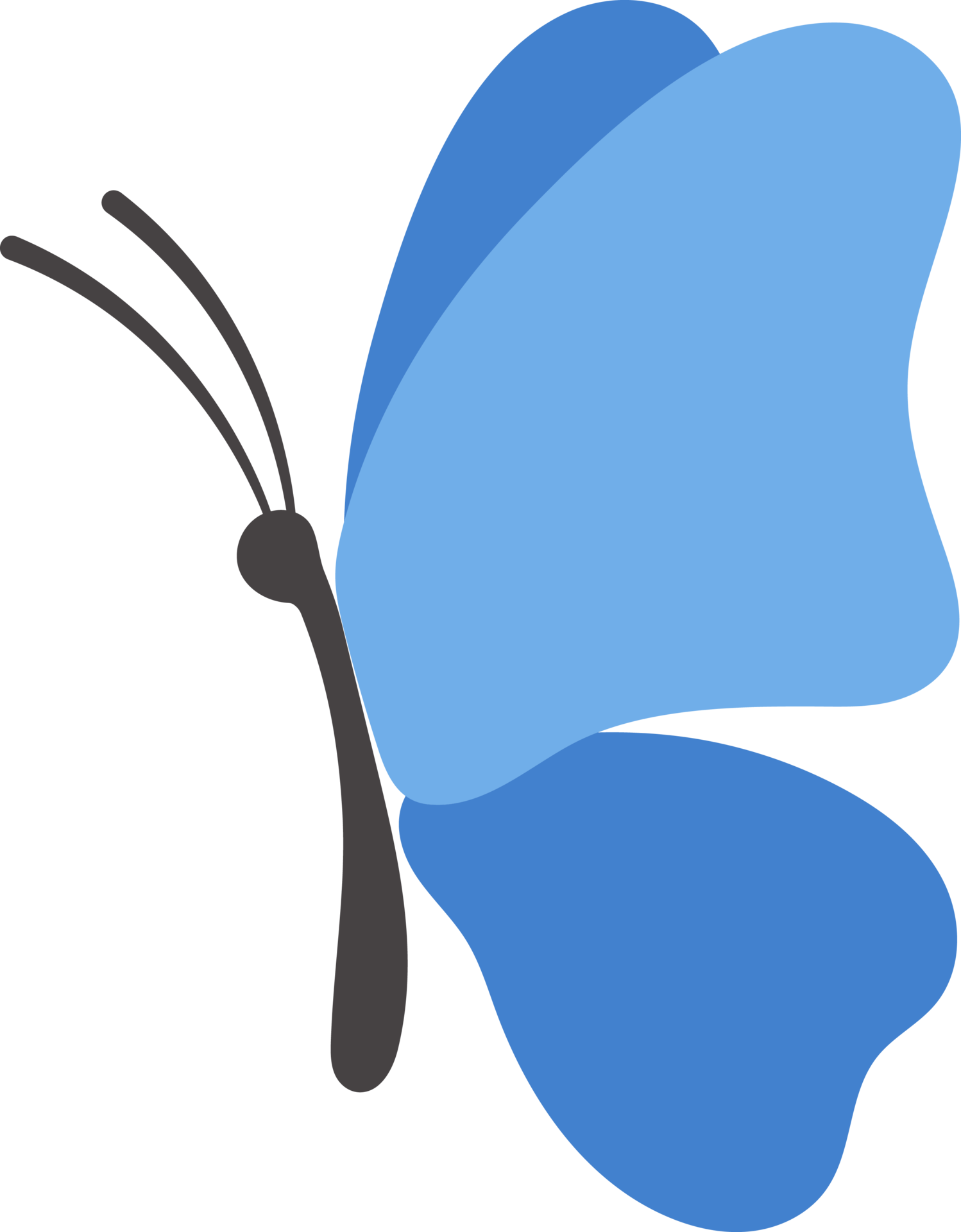 flying butterfly illustration 24524358 PNG