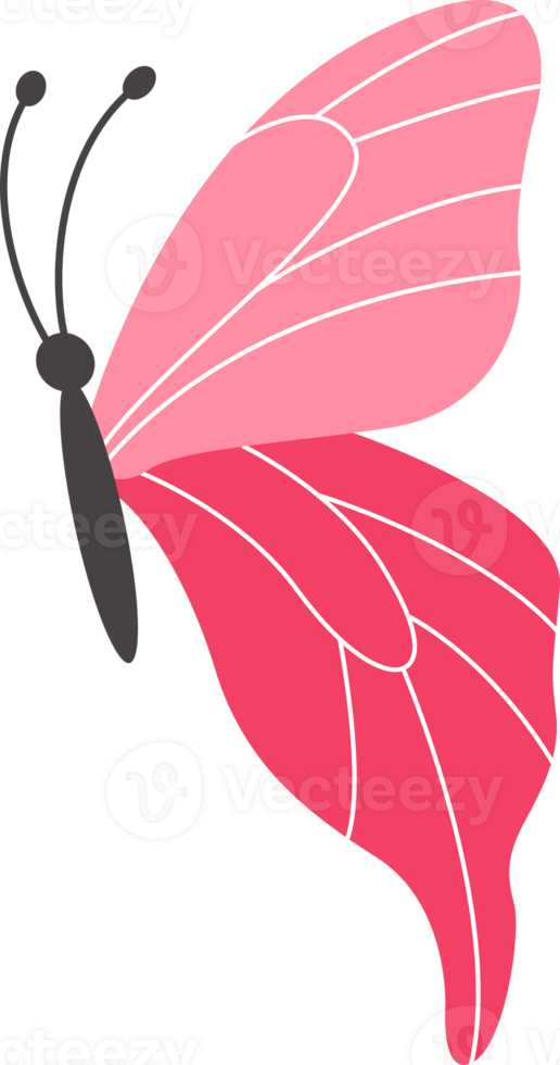 flying butterfly illustration png