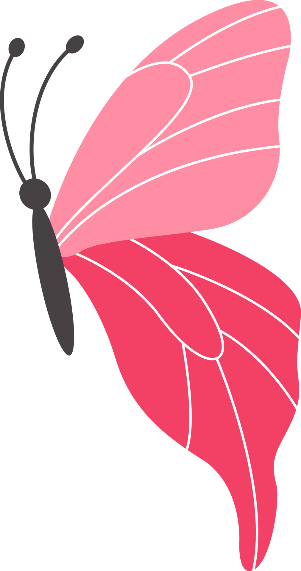 https://static.vecteezy.com/system/resources/previews/024/524/360/original/flying-butterfly-illustration-png.png