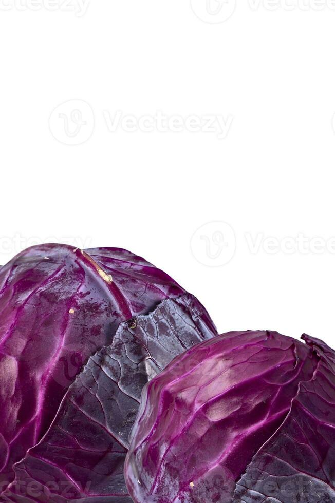 Red Cabbage Isolated photo