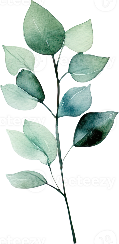 beautiful watercolor leaves png