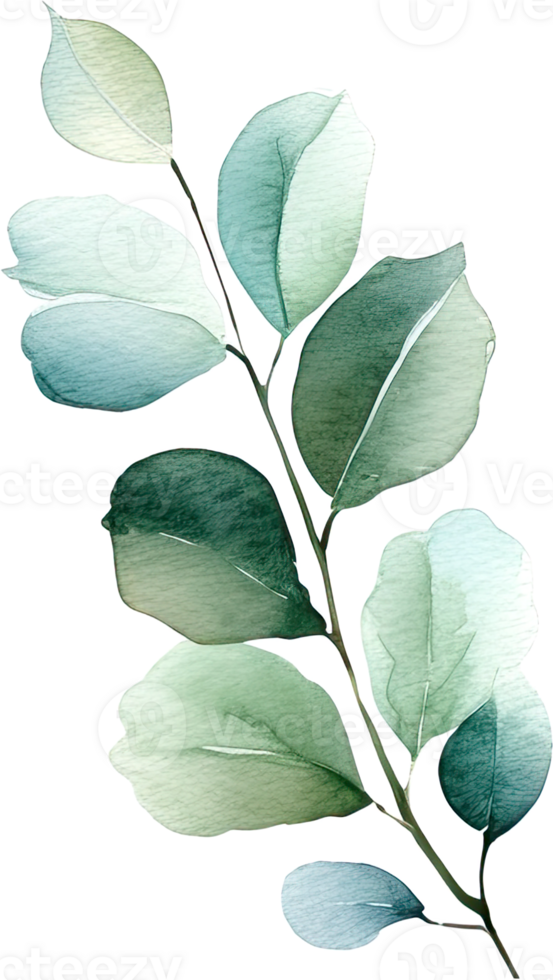 beautiful watercolor leaves png