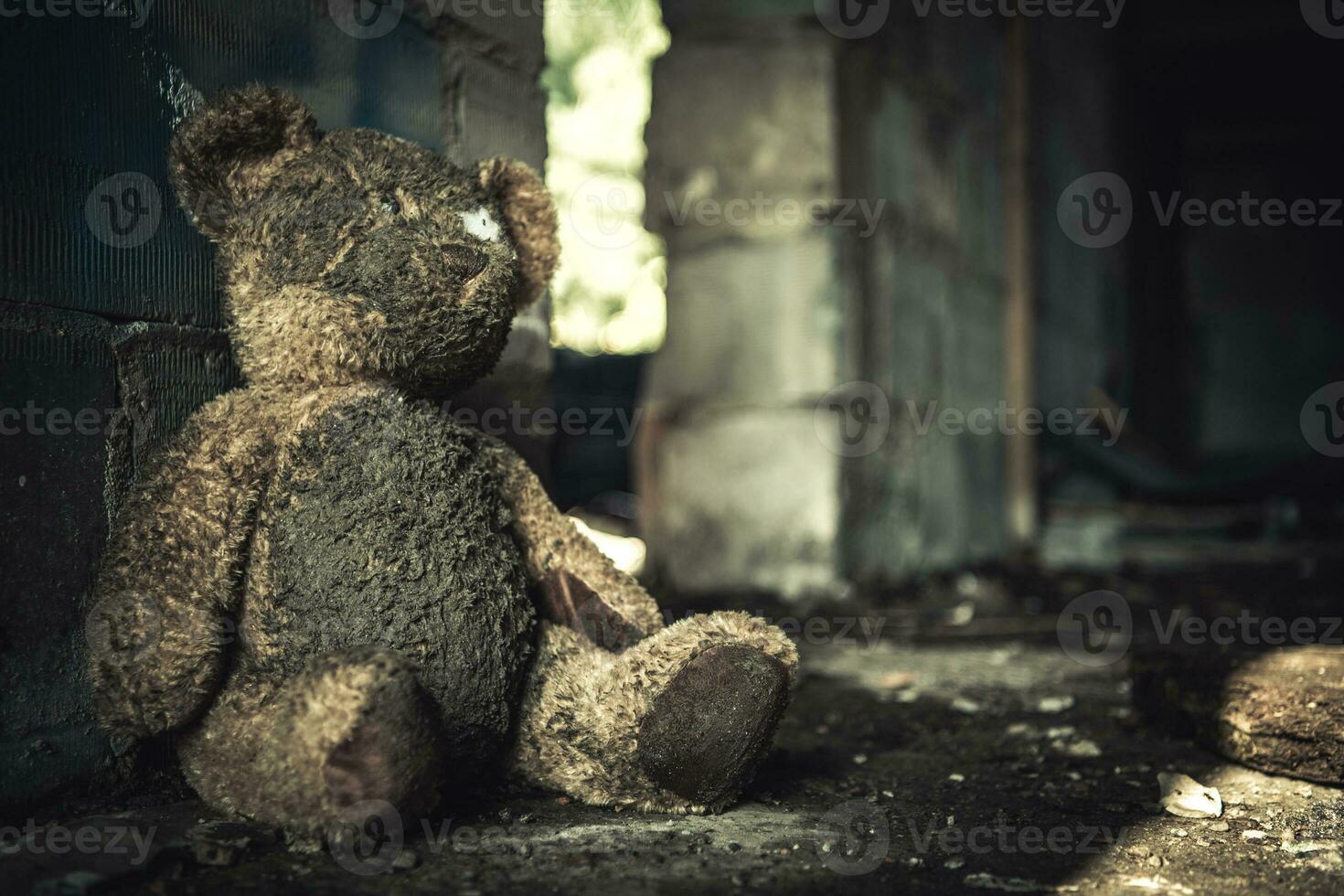 Domestic Violence Theme with Dirty Teddy Bear photo