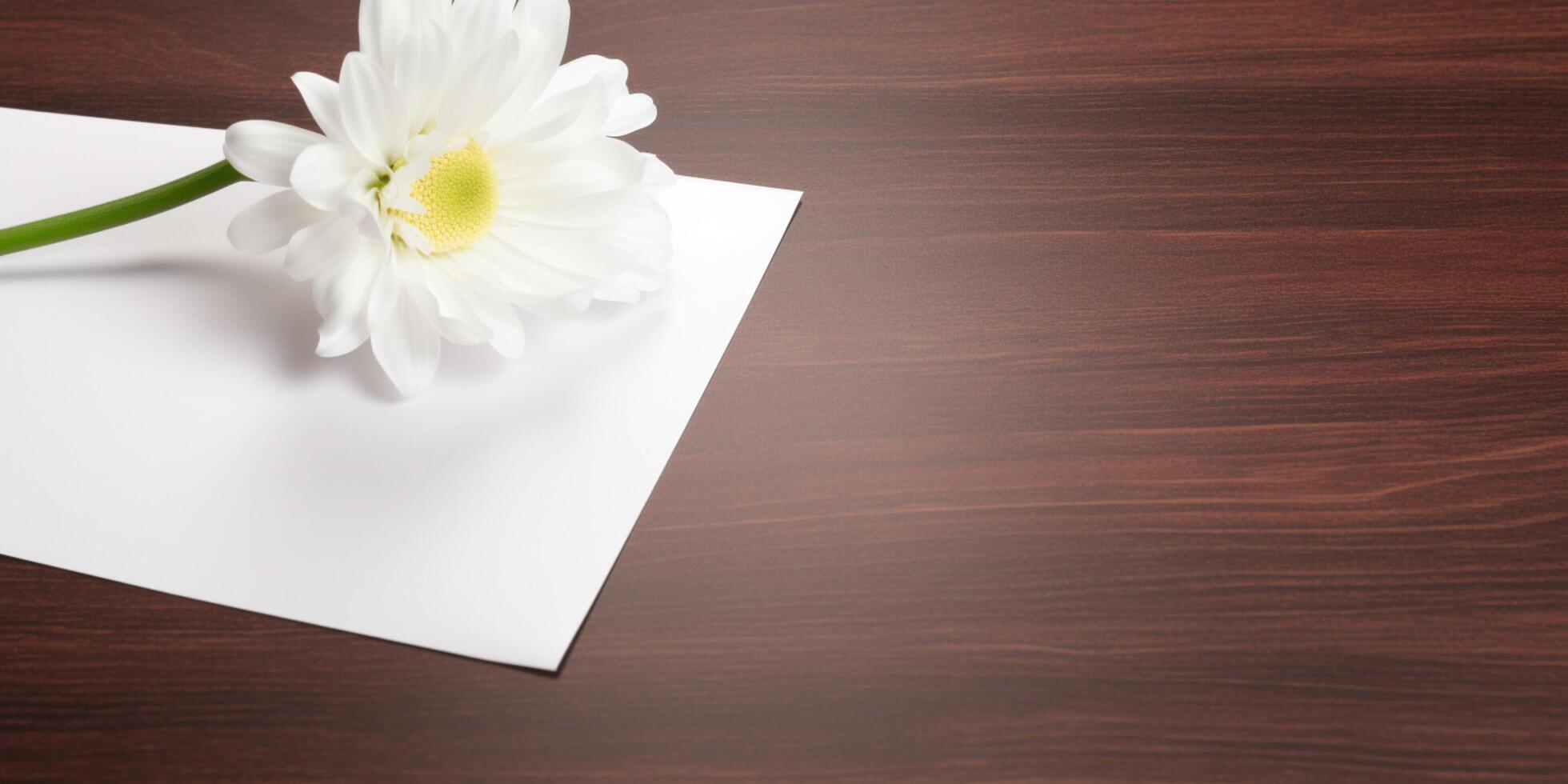 White rose on a wooden desk with paper photo