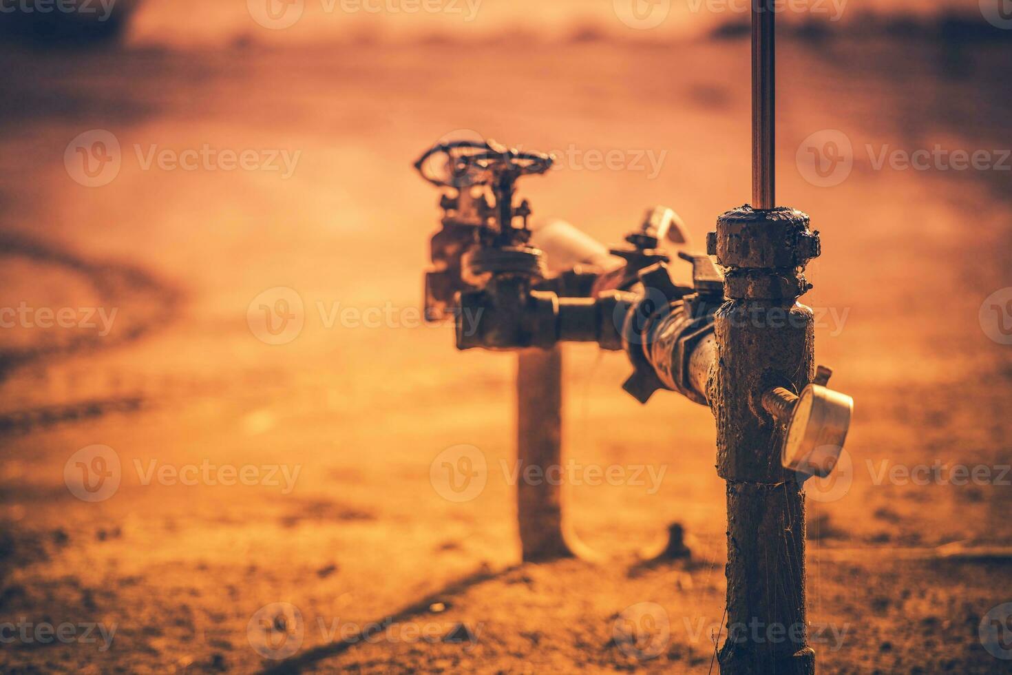 Pumpjack Stuffing Box photo
