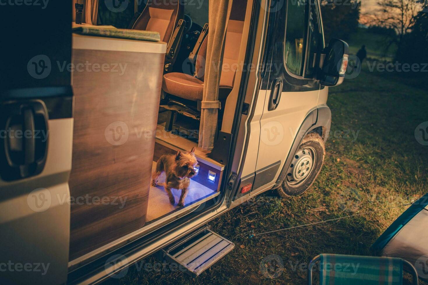 Dog in the Camper Van photo