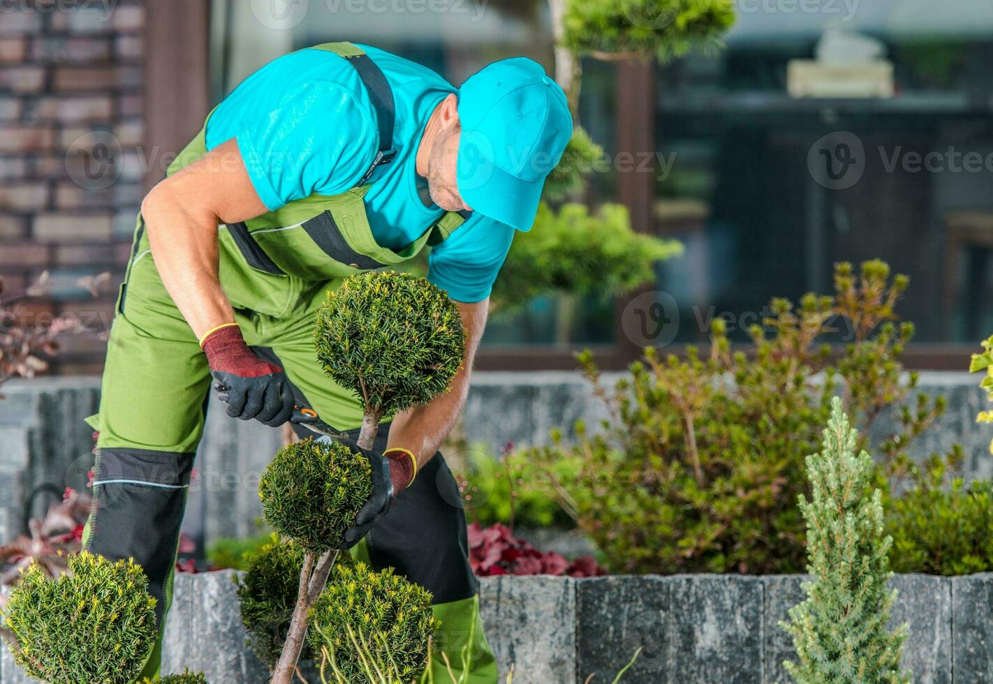 Maintaining Garden Trees Shape photo