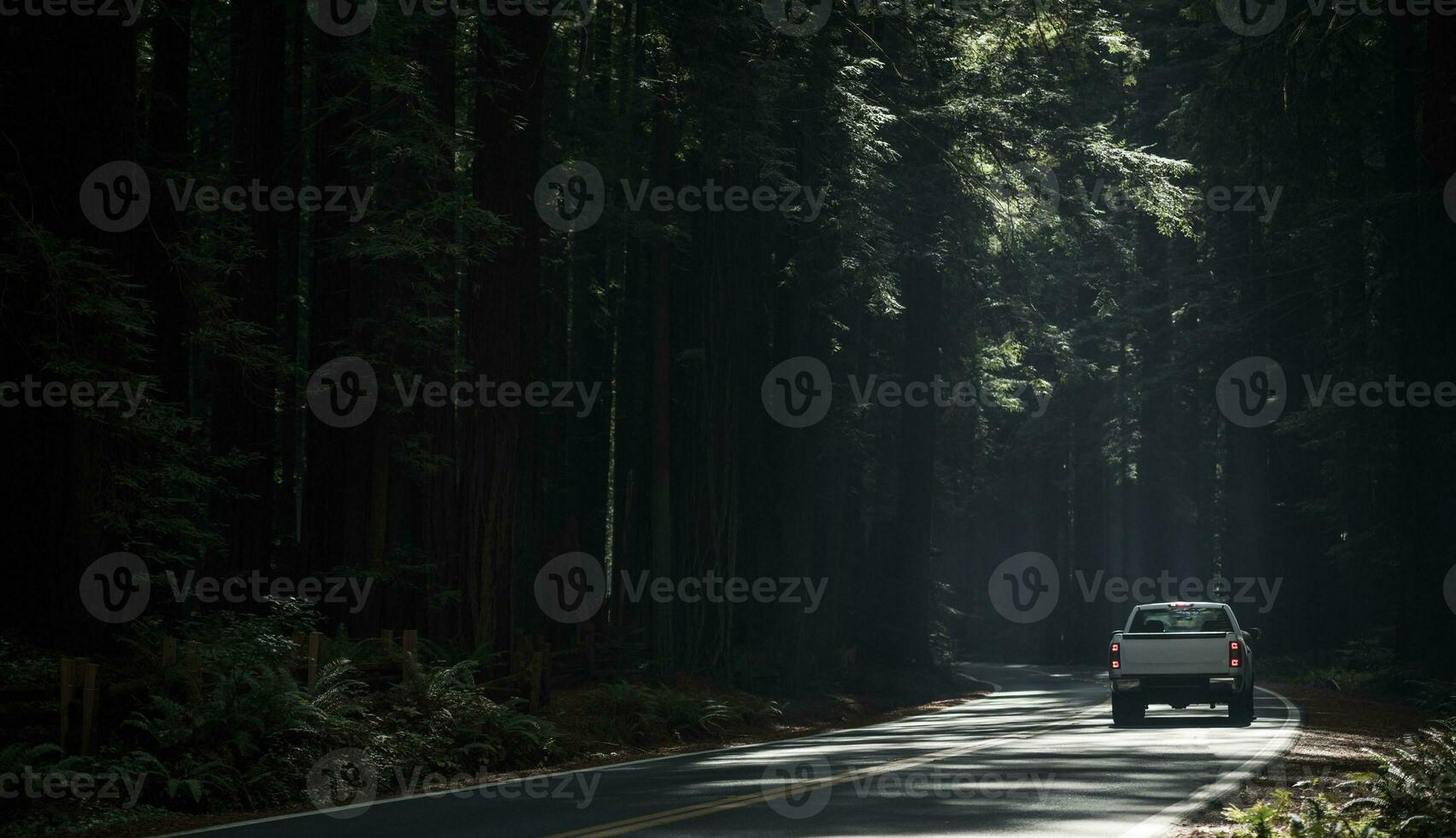 Scenic Redwood Highway Drive photo