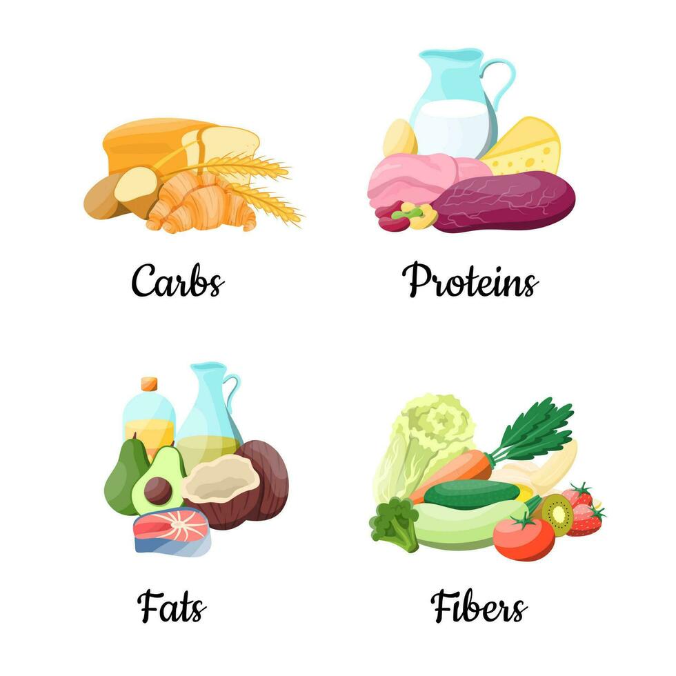 Cartoon Color Macronutrients Educational Diet Icons Set. Vector