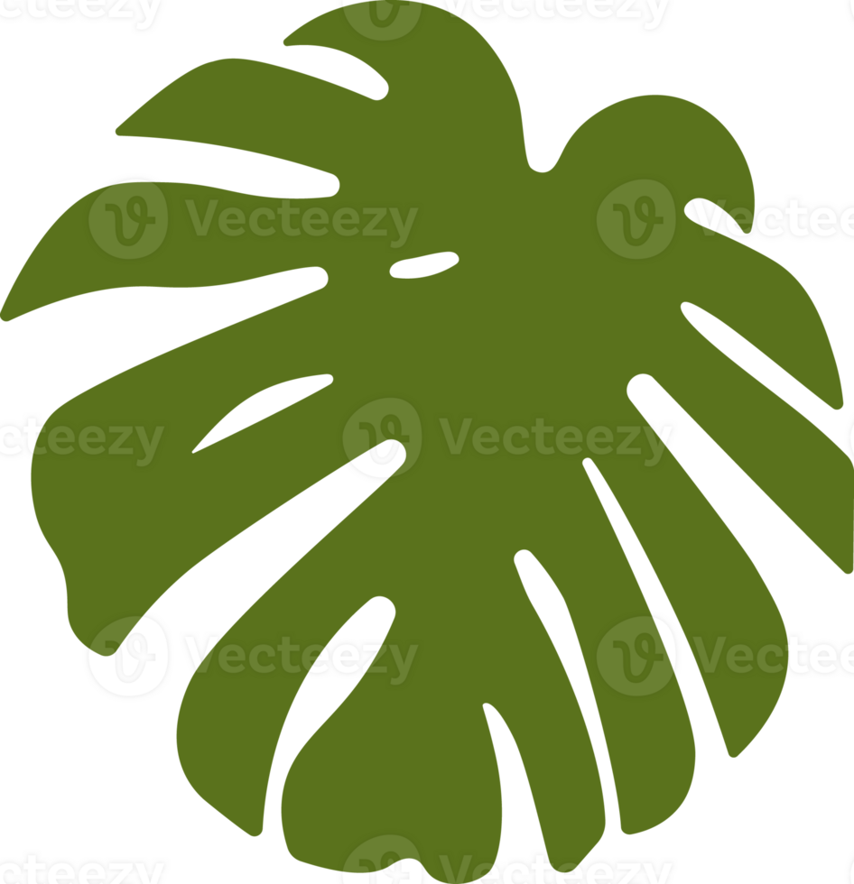 Monstera Leaf Shadow png