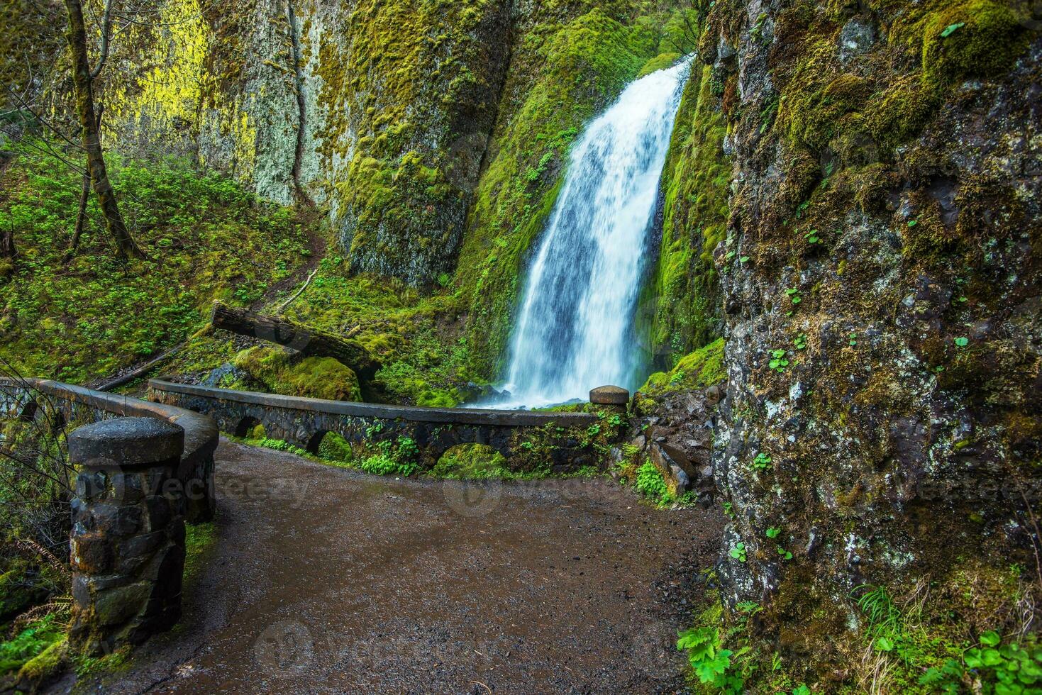 Wahkeena Falls Oregon photo