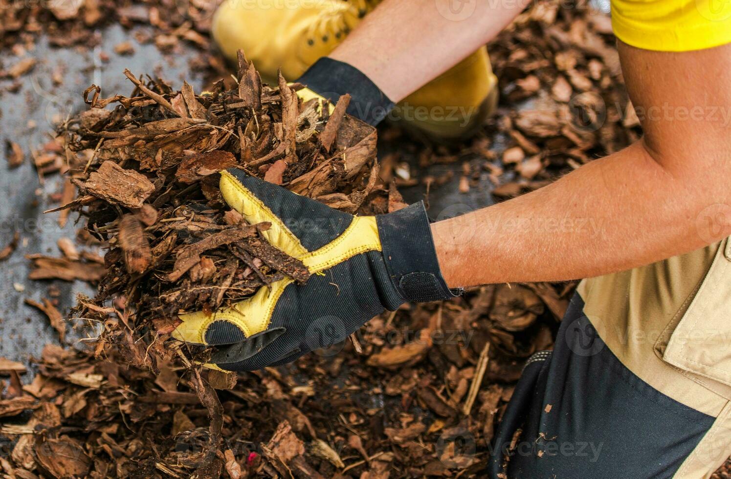 Garden Decorative Bark Chips photo