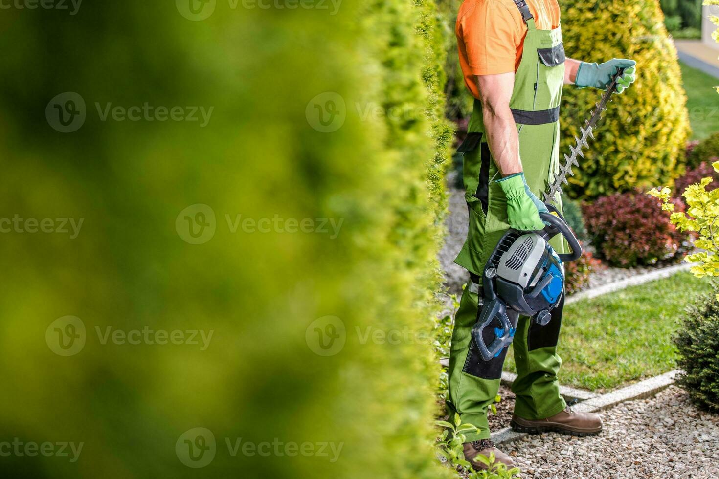 Seasonal Garden Trimming photo