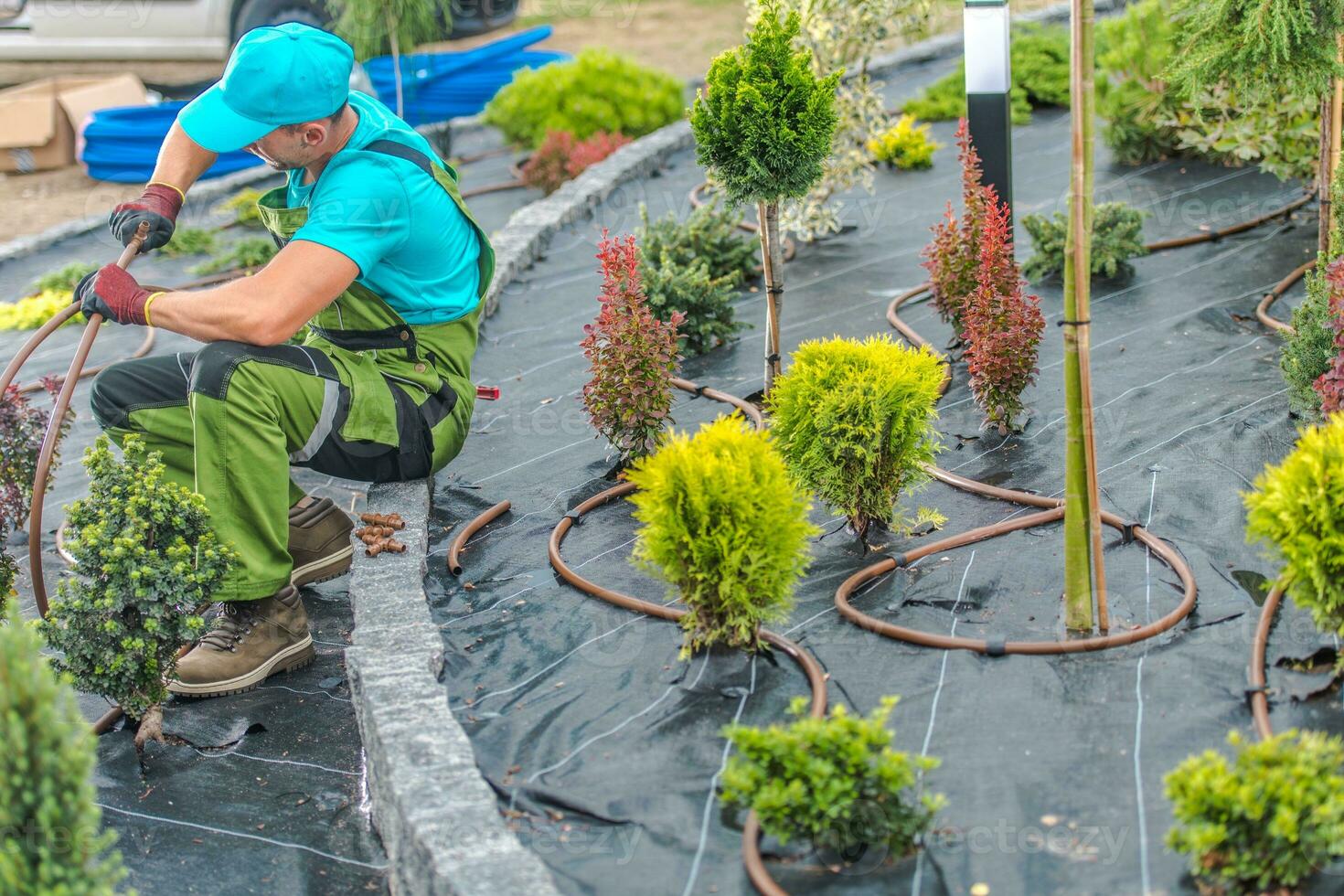 Garden Irrigation Work photo
