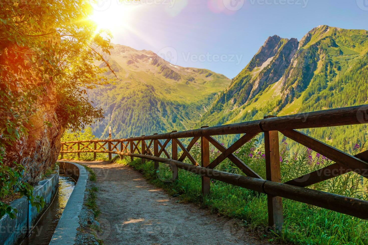 Swiss Alps Sunny Trail photo