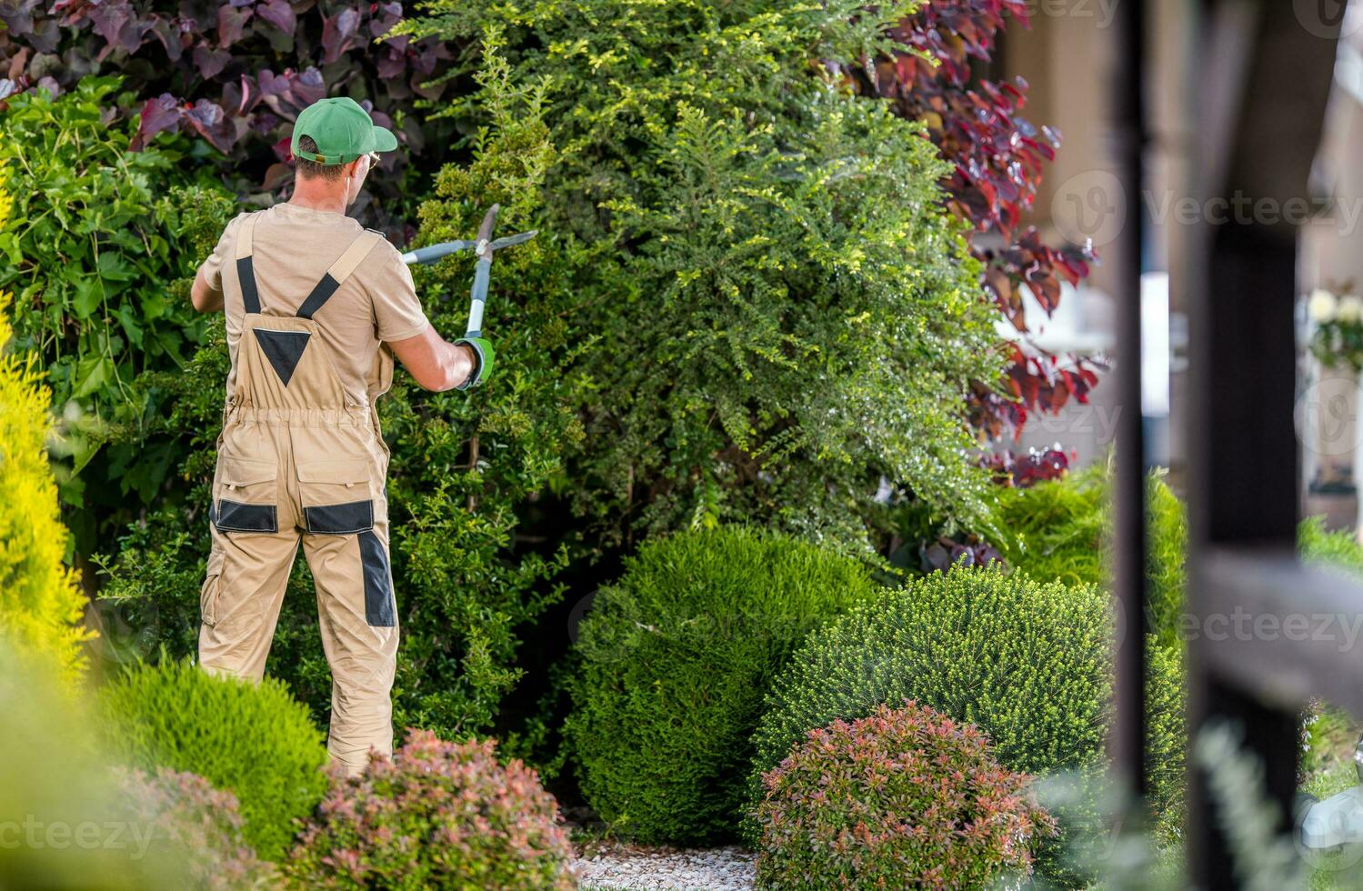 Garden Worker Trimming Decorative Trees photo