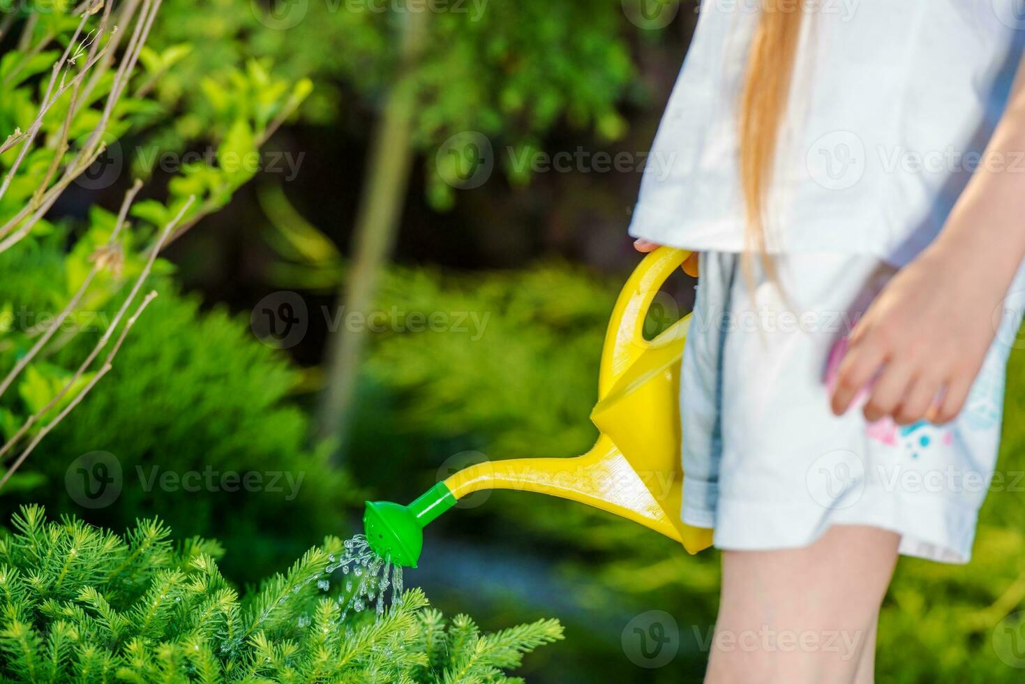 Girl with Watering Can 24526665 Stock Photo at Vecteezy