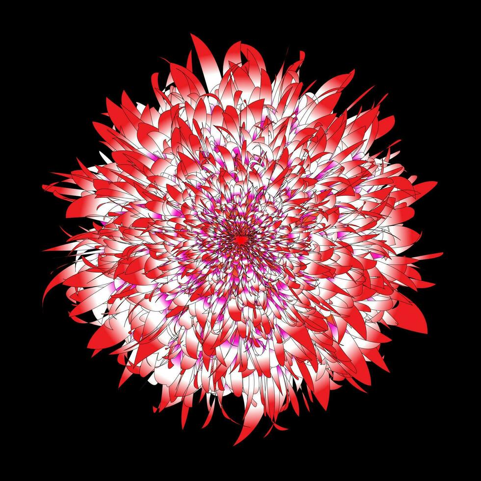 the red flower illustration is so dazzling vector