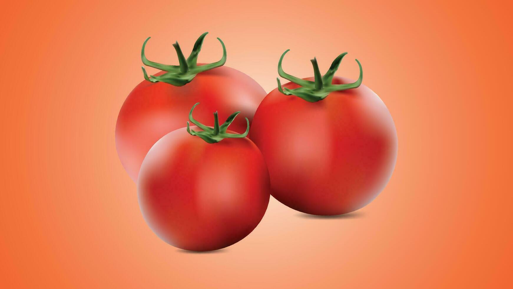 realista tomate vector 3d vegetal