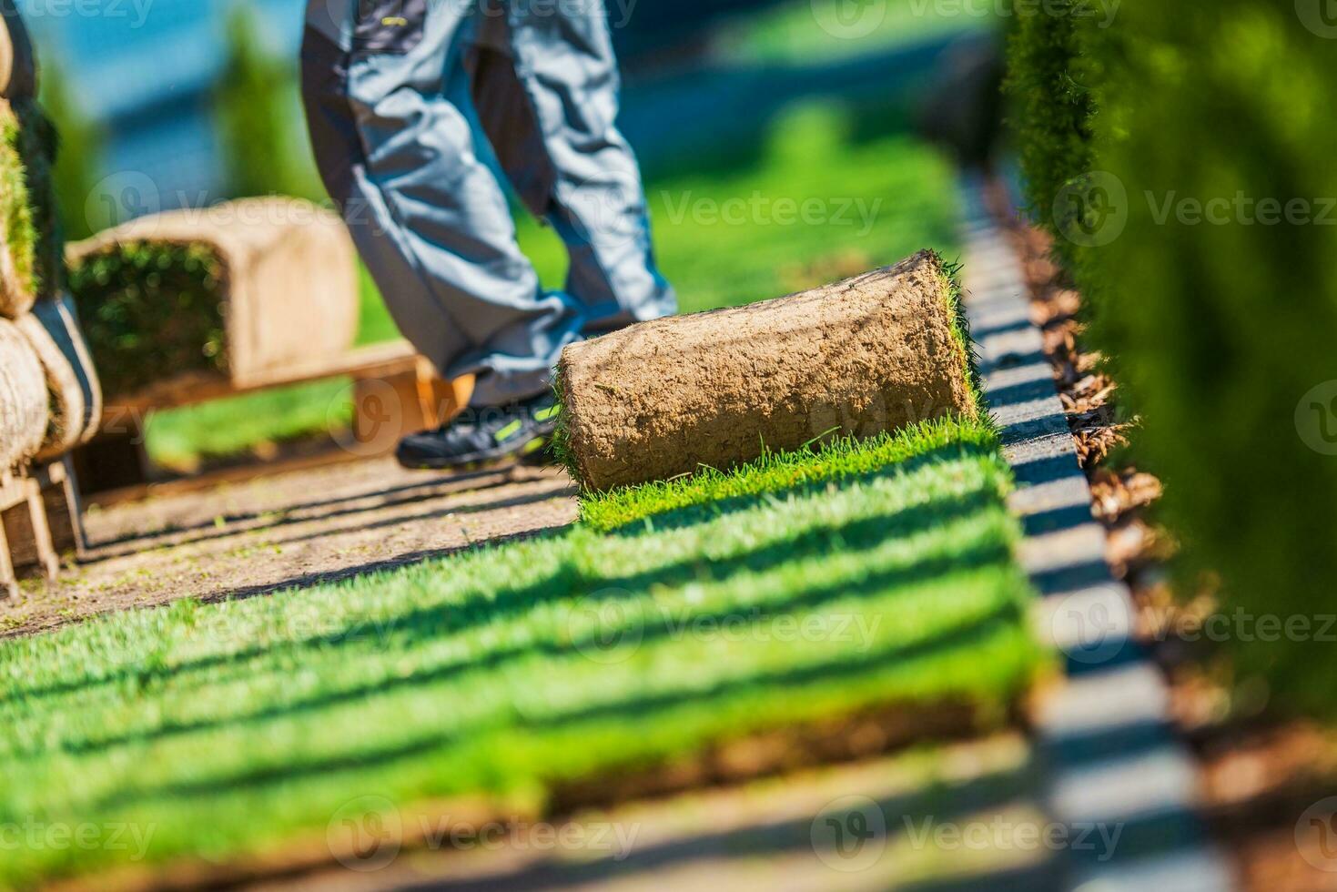 Grass Turfs Installation Work photo