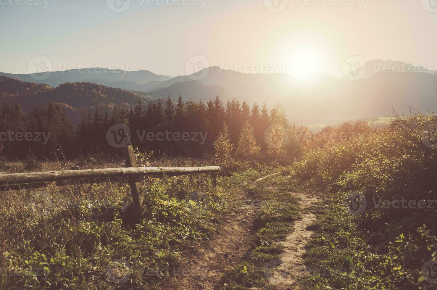 Sunny Carpathian Trail photo