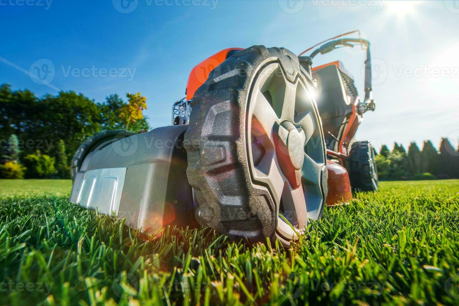 Modern Gasoline Lawn Mower photo