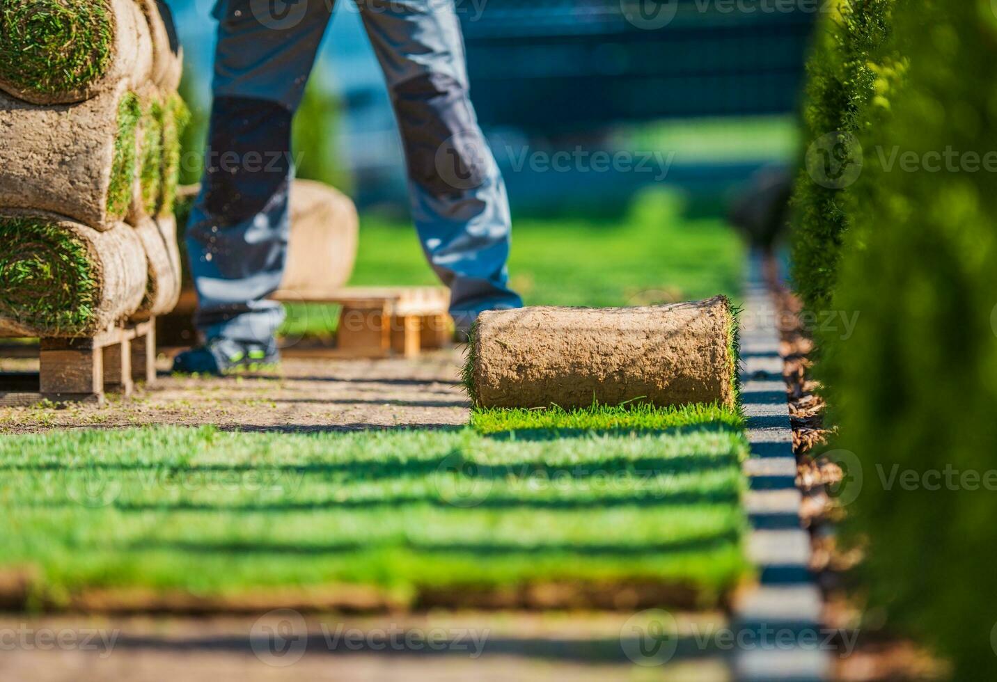 Grass Lawn Installation photo