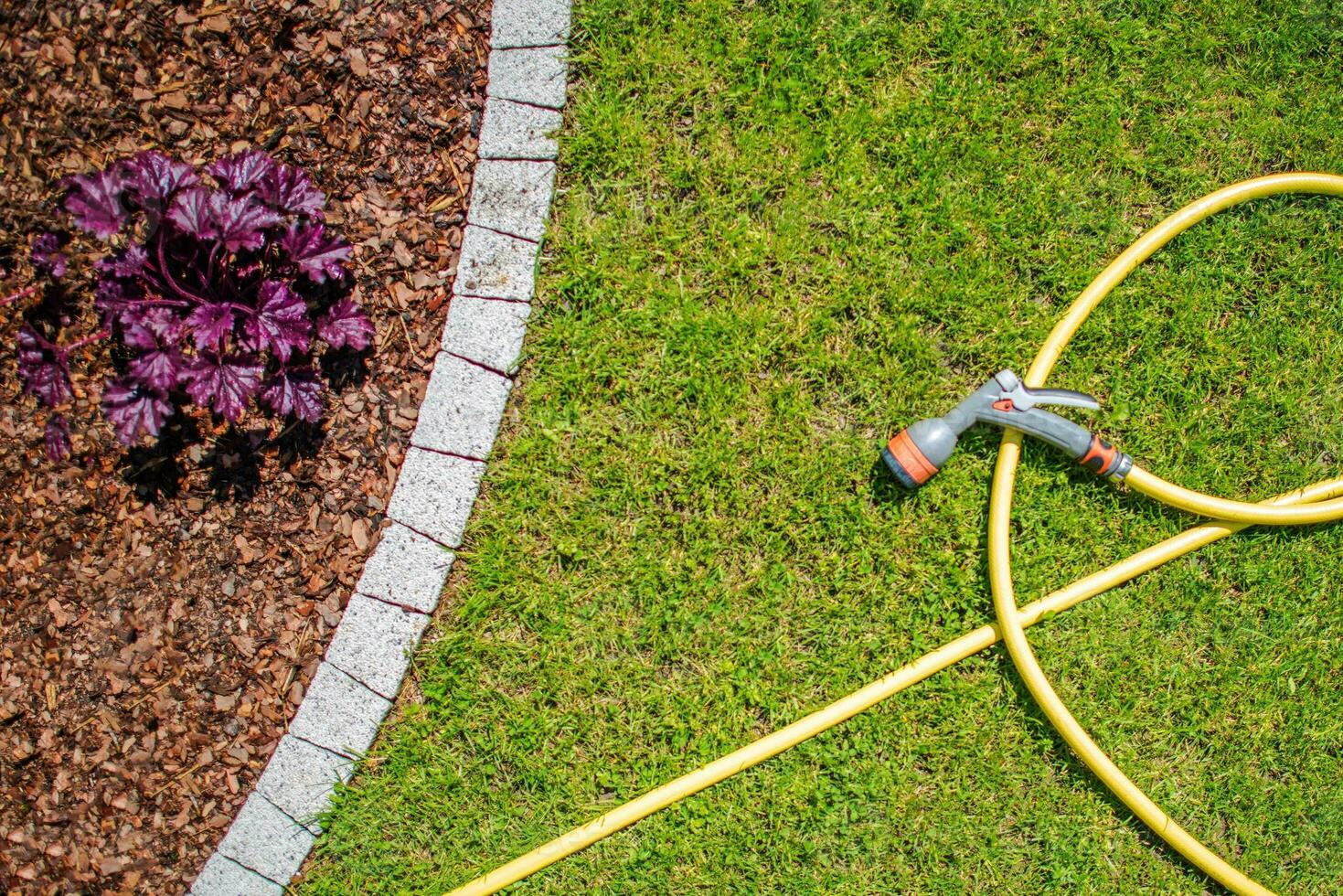 Garden Water Hose photo