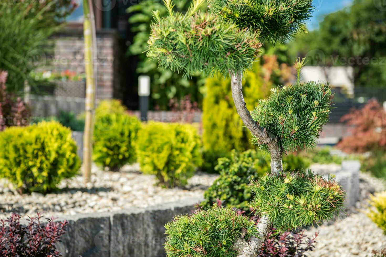 Ornamental Garden Landscaping Concept. photo