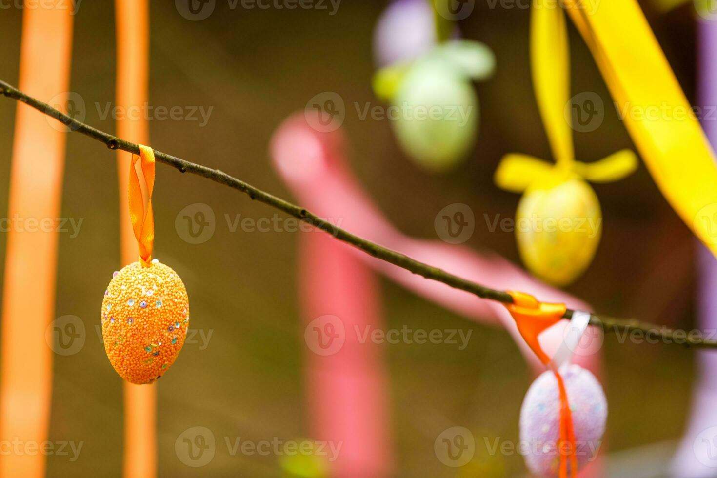 Three decorative Easter eggs hanging on blooming branch. Spring blooming, holiday greeting card template. photo