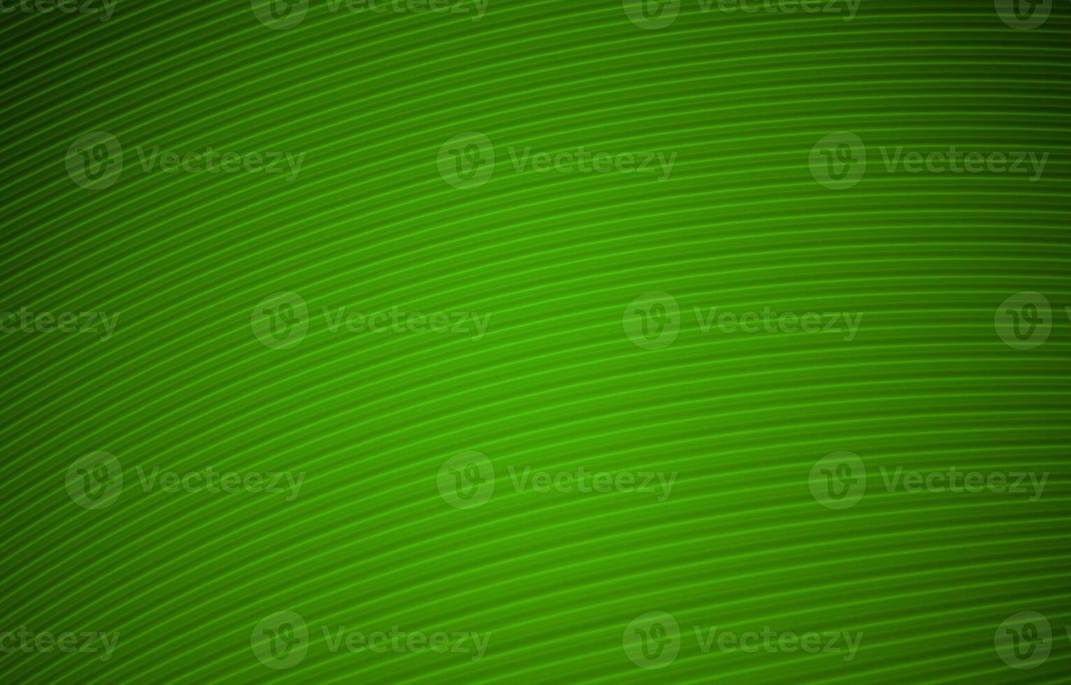 verde antecedentes ilustración foto